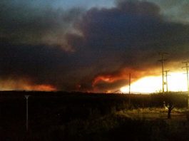 Incendio Cauquenes, Fotografía por LaVozdeCauquenes.